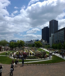 180510バラ園.jpg